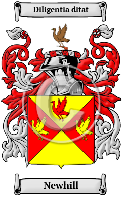 Newhill Family Crest Download (JPG) Heritage Series - 600 DPI