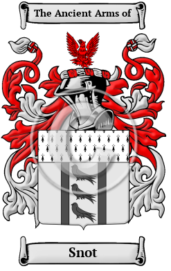 Snot Family Crest Download (JPG) Heritage Series - 600 DPI