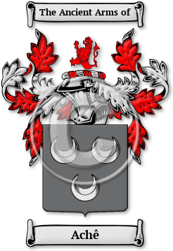 Achê Family Crest Download (jpg) Legacy Series - 150 DPI