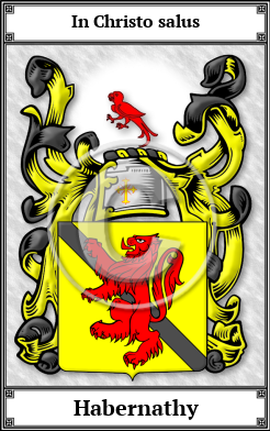 Habernathy Family Crest Download (JPG)  Book Plated - 150 DPI