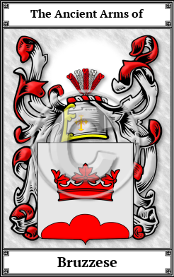 Bruzzese Family Crest Download (JPG) Book Plated - 600 DPI