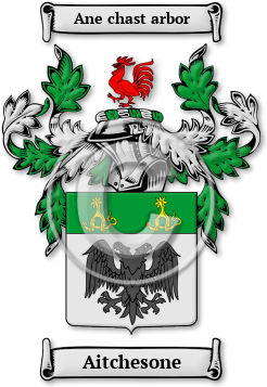 Aitchesone Family Crest Download (jpg) Legacy Series - 150 DPI