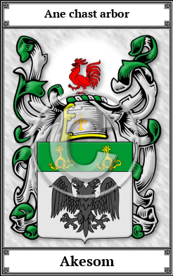 Akesom Family Crest Download (JPG) Book Plated - 600 DPI
