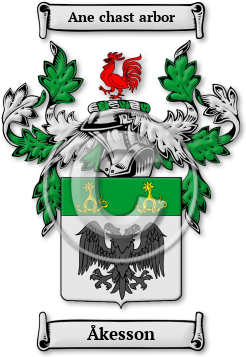 Åkesson Family Crest Download (jpg) Legacy Series - 150 DPI
