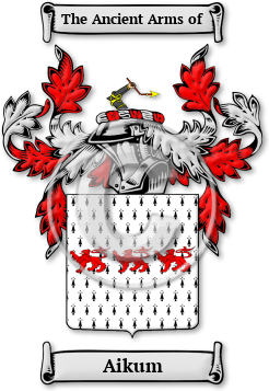 Aikum Family Crest Download (jpg) Legacy Series - 150 DPI