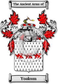 Yoakum Family Crest Download (jpg) Legacy Series - 150 DPI