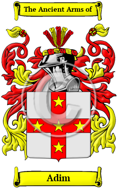 Adim Family Crest/Coat of Arms