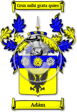 Adám Family Crest Download (JPG) Legacy Series - 600 DPI
