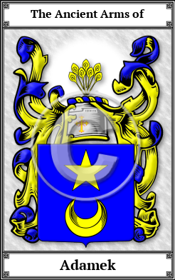 Adamek Family Crest Download (JPG) Book Plated - 600 DPI
