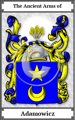 Adamowicz Family Crest Download (JPG)  Book Plated - 150 DPI
