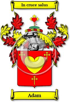 Adam Family Crest Download (jpg) Legacy Series - 150 DPI