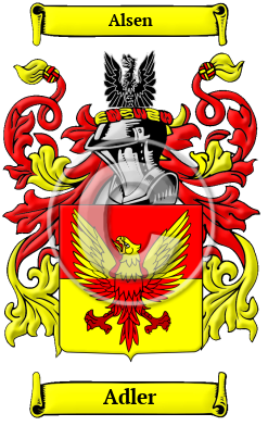 Adler Family Crest Download (JPG) Heritage Series - 600 DPI