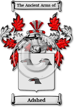 Adshed Family Crest Download (jpg) Legacy Series - 150 DPI