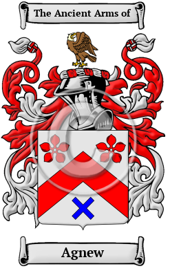Agnew Family Crest/Coat of Arms