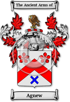 Agnew Family Crest Download (jpg) Legacy Series - 150 DPI