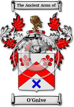 O'Gnive Family Crest Download (jpg) Legacy Series - 150 DPI