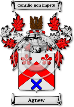 Agnew Family Crest Download (jpg) Legacy Series - 150 DPI