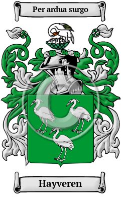 Hayveren Family Crest Download (JPG) Heritage Series - 600 DPI