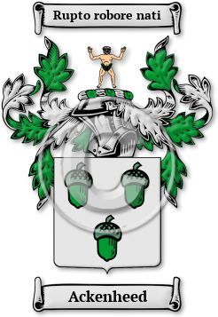 Ackenheed Family Crest Download (jpg) Legacy Series - 150 DPI