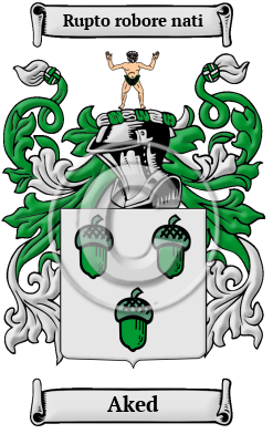 Aked Family Crest Download (jpg) Heritage Series - 150 DPI