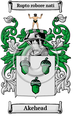 Akehead Family Crest/Coat of Arms