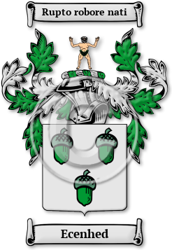 Ecenhed Family Crest Download (JPG) Legacy Series - 600 DPI