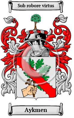 Aykmen Family Crest/Coat of Arms