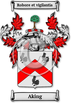 Aking Family Crest Download (jpg) Legacy Series - 150 DPI