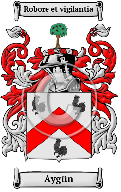 Aygün Family Crest Download (JPG) Heritage Series - 300 DPI