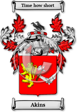 Akins Family Crest Download (jpg) Legacy Series - 150 DPI