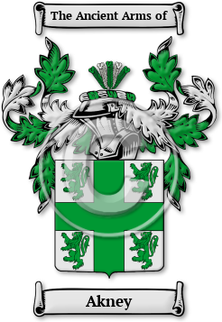 Akney Family Crest Download (jpg) Legacy Series - 150 DPI
