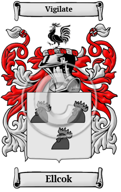 Ellcok Family Crest/Coat of Arms