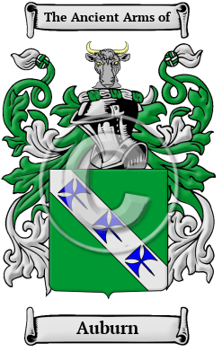 Auburn Family Crest/Coat of Arms