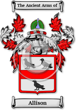 Allison Family Crest Download (jpg) Legacy Series - 150 DPI