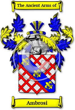 Ambrosi Family Crest Download (jpg) Legacy Series - 150 DPI