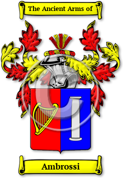 Ambrossi Family Crest Download (jpg) Legacy Series - 150 DPI