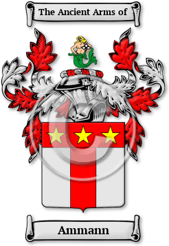 Ammann Family Crest Download (JPG) Legacy Series - 600 DPI