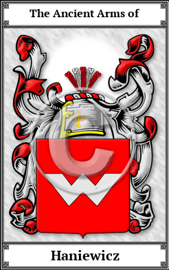 Haniewicz Family Crest Download (JPG) Book Plated - 600 DPI