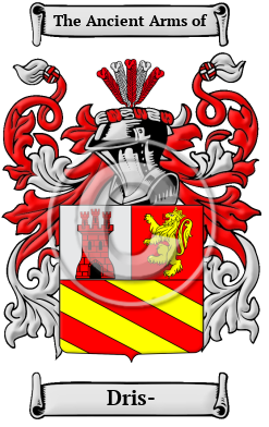Dris- Family Crest Download (JPG) Heritage Series - 300 DPI