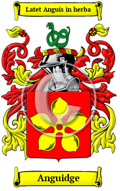 Anguidge Family Crest/Coat of Arms