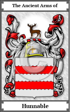 Hunnable Family Crest Download (JPG) Book Plated - 600 DPI