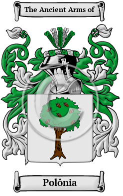 Polônia Family Crest Download (JPG) Heritage Series - 300 DPI
