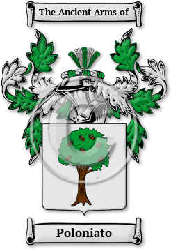 Poloniato Family Crest Download (jpg) Legacy Series - 150 DPI