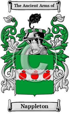 Nappleton Family Crest/Coat of Arms