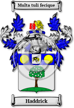 Haddrick Family Crest Download (jpg) Legacy Series - 150 DPI