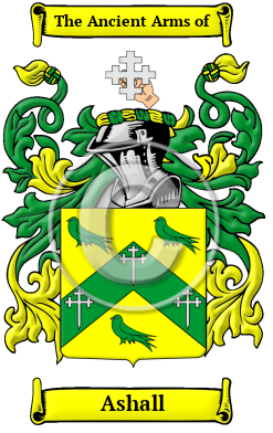 Ashall Family Crest/Coat of Arms