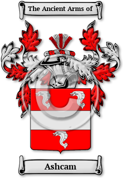 Ashcam Family Crest Download (jpg) Legacy Series - 150 DPI