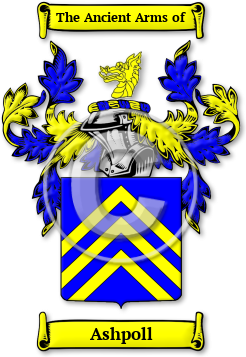 Ashpoll Family Crest Download (jpg) Legacy Series - 150 DPI