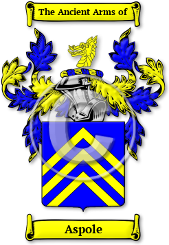 Aspole Family Crest Download (jpg) Legacy Series - 150 DPI