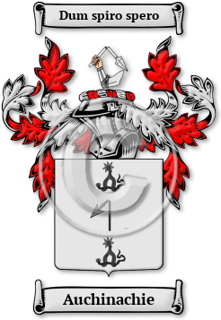 Auchinachie Family Crest Download (jpg) Legacy Series - 150 DPI